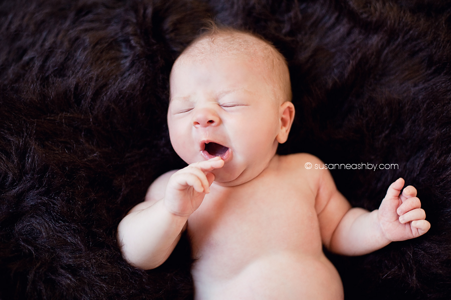 lincoln-newborn-photographer