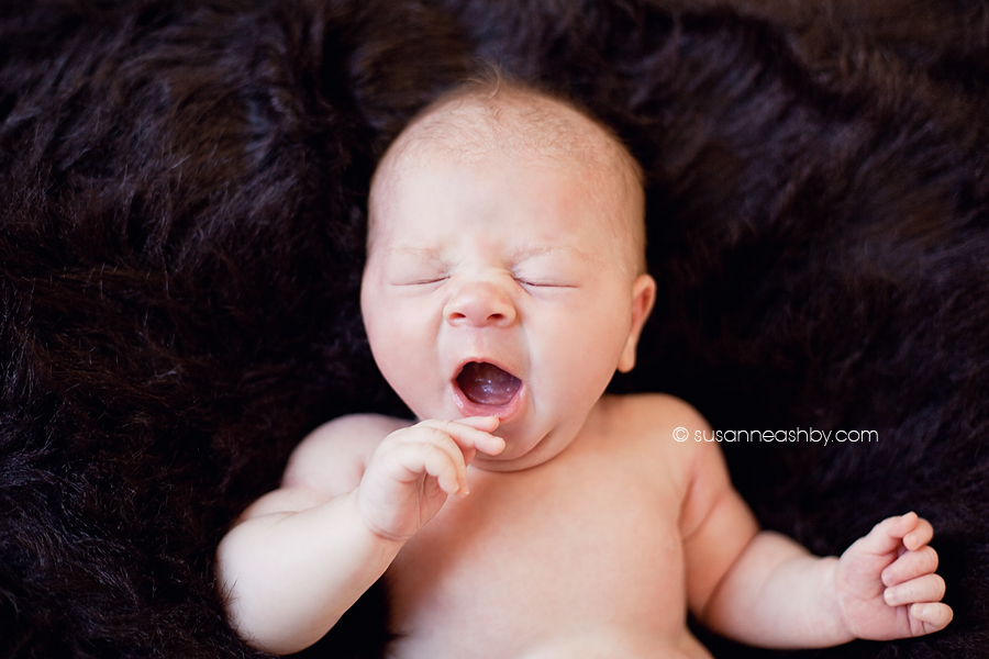 rocklin-newborn-photography