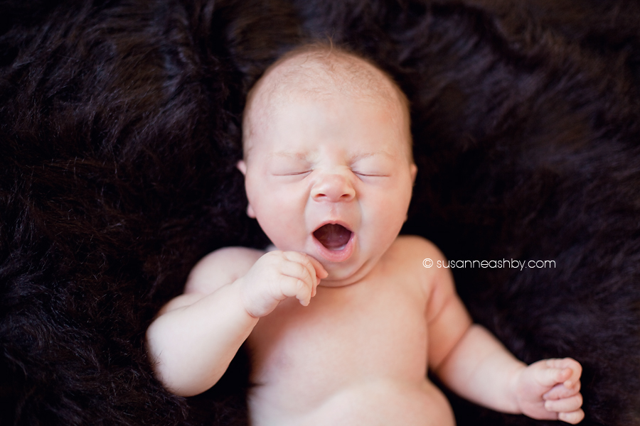sacramento-newborn-photographer