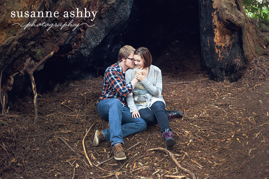 Henry Cowell redwoods engagement