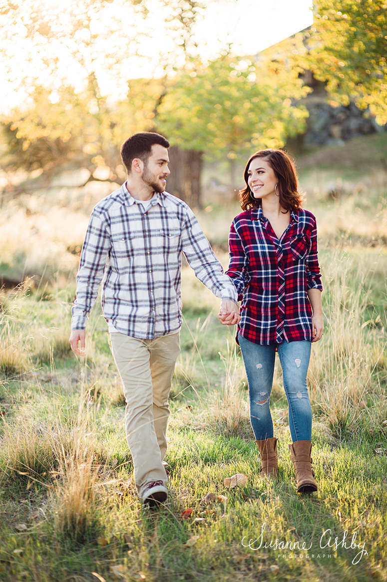 Lincoln Sacramento anniversary holiday engagement session