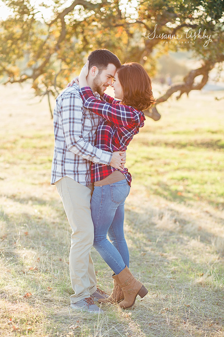 Lincoln Sacramento engagement anniversary holiday session