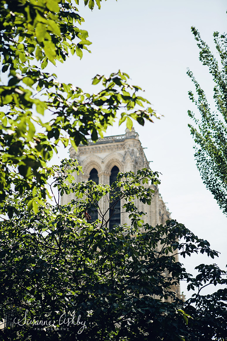 Paris wedding photographer tips itinerary notre dame cathedral