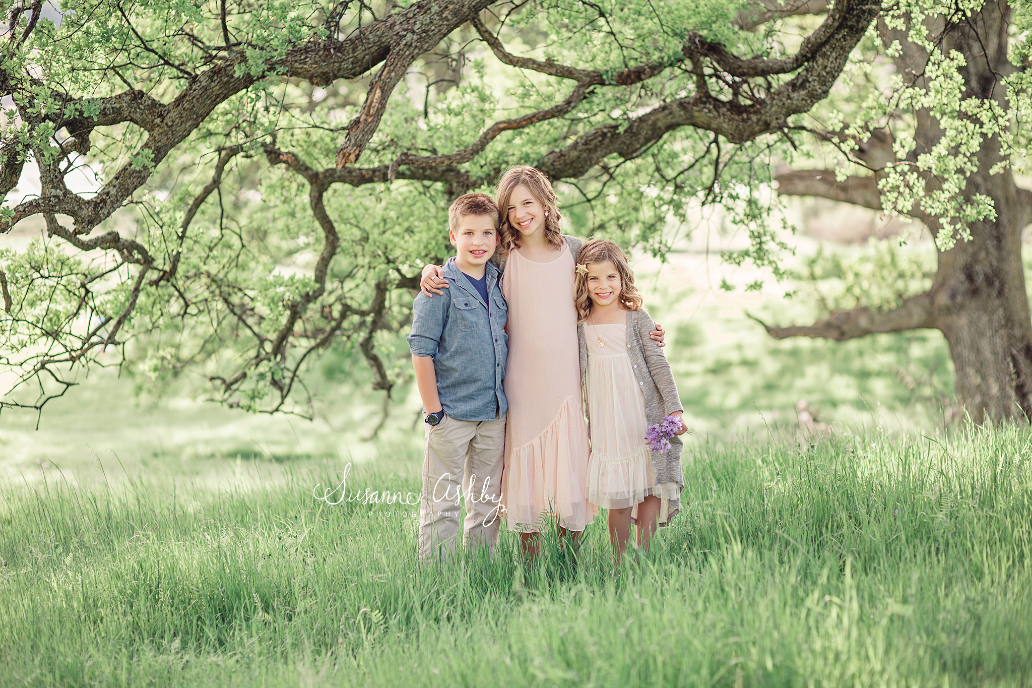 Sacramento Lincoln Family childrens photographer